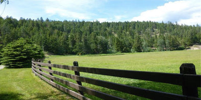 Image of a pasture in Canada
